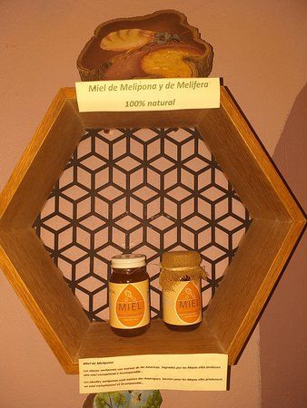 Casa de las Mieles Mexicanas Tulum